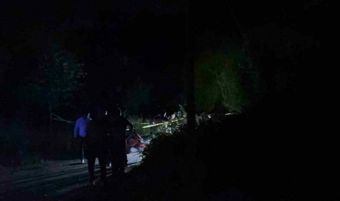 Bursa’nın Orhangazi ilçesine bağlı Çakırlı Mahallesi altında İznik Gölü Sahil