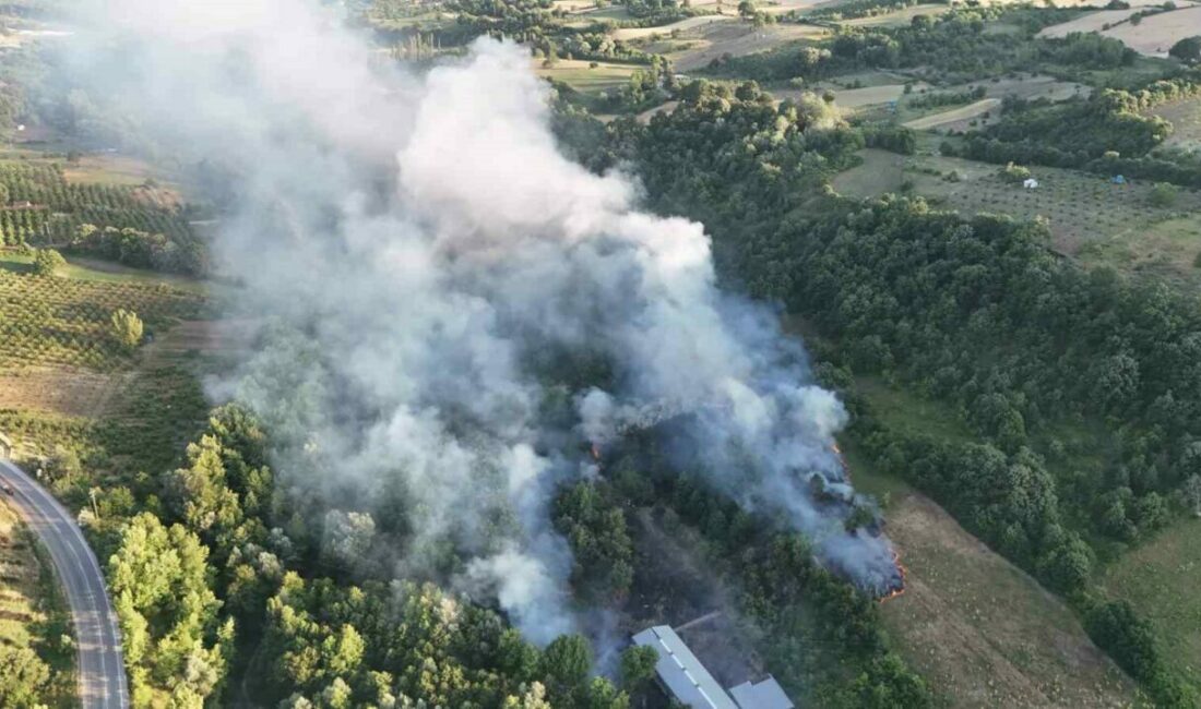 Bursa’nın İnegöl ilçesi Hamamlı ile Gündüzlü mahalleleri arasında çöplük alanda