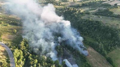 Bursa’nın İnegöl ilçesi Hamamlı ile Gündüzlü mahalleleri arasında çöplük alanda