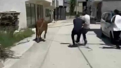 Bursa kent merkezinde kurbanlıklarını alan vatandaşlar, bayram öncesi hareketliliğin en