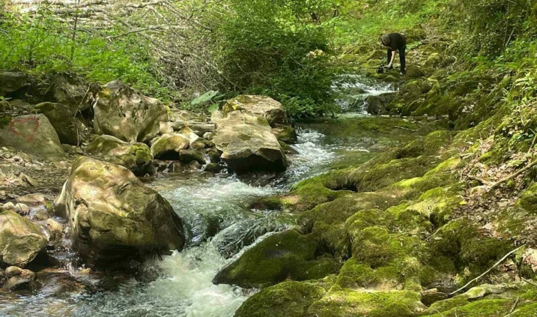 Bursa’nın İznik ilçesinin Samanlı Dağları’nda yer alan doğa harikası Sansarak