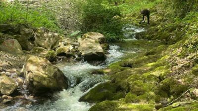 Bursa’nın İznik ilçesinin Samanlı Dağları’nda yer alan doğa harikası Sansarak