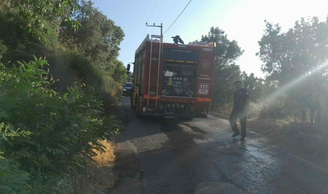 Bursa’da karga yangına neden oldu Bursa’da karganın elektrik hatlarına teması sonucu çıkan kıvılcımlar kurumuş otları