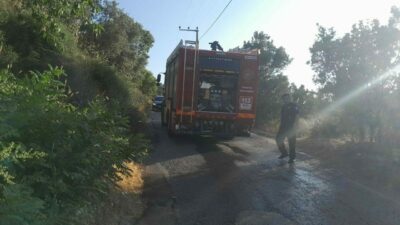 Bursa’da karganın elektrik hatlarına teması sonucu çıkan kıvılcımlar kurumuş otları