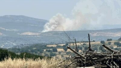 Bursa’nın Nilüfer ilçesine bağlı Kayapa bölgesindeki ormanlık alanda yangın çıktı.