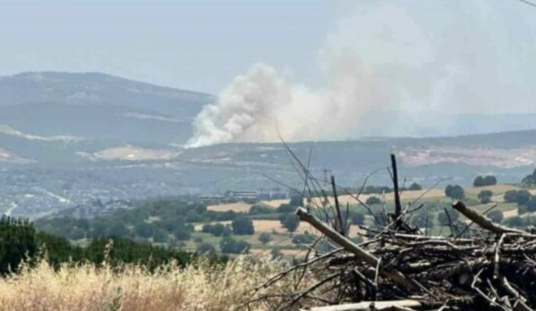 Bursa’nın Nilüfer ilçesine bağlı Kayapa bölgesindeki ormanlık alanda yangın çıktı.