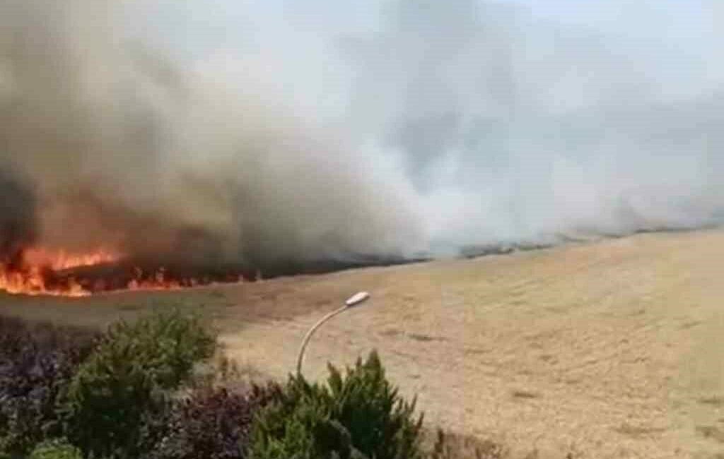 Bursa’nın Nilüfer ilçesinde otluk alanda çıkan yangın paniğe neden oldu.