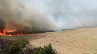 Bursa’nın Nilüfer ilçesinde otluk alanda çıkan yangın paniğe neden oldu.