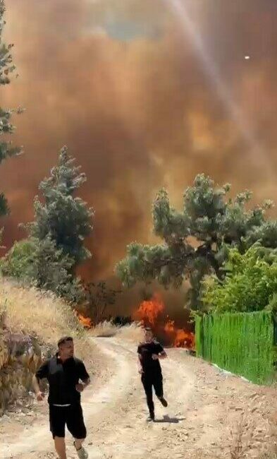 Bursa’nın merkez Osmangazi ilçesine bağlı İsmetiye Mahallesi’nde çıkan orman yangını