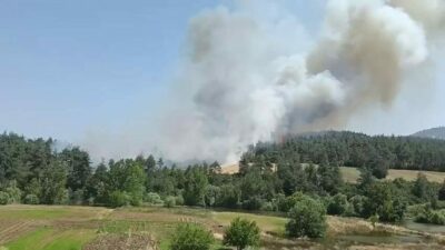 Bursa’nın Nilüfer ilçesine bağlı Kayapa Mahallesi taş ocakları mevkiindeki ormanlık