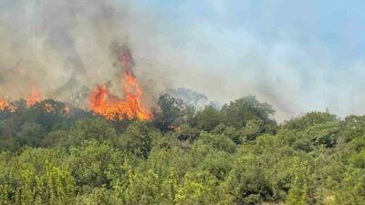 Şehir merkezinde termometrenin 40 derecenin üzerinde gösterdiği Bursa’da orman yangınlarının