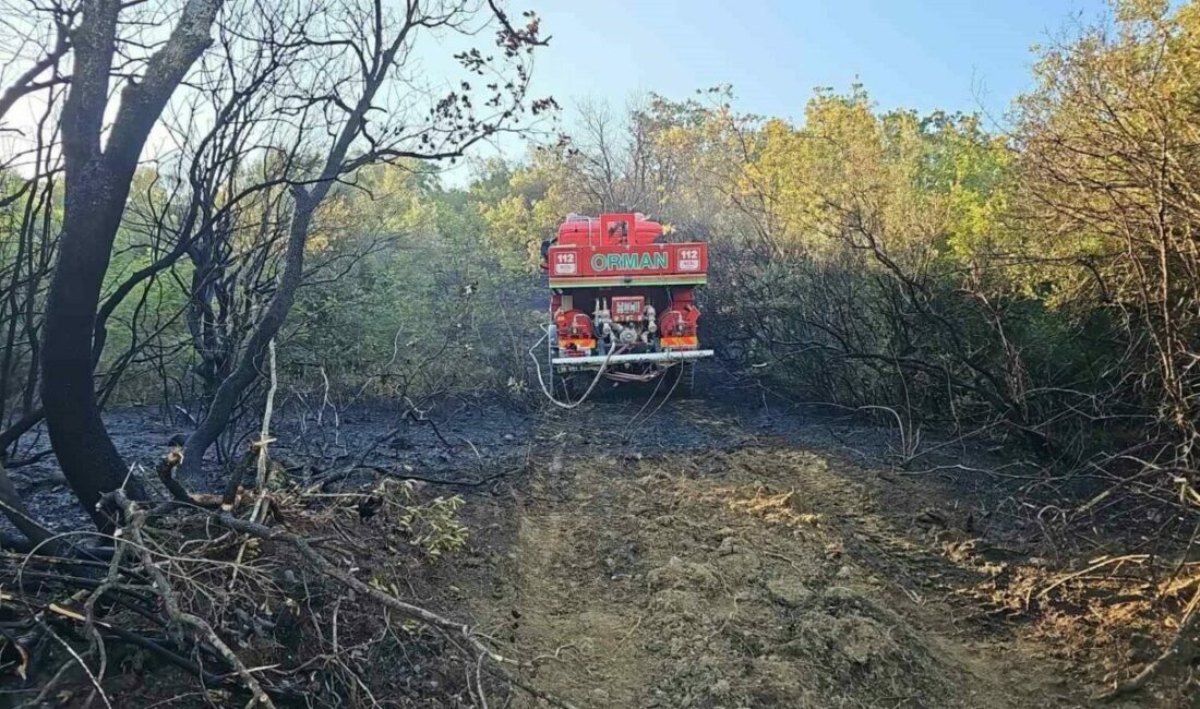 Bursa’nın Mustafakemalpaşa ilçesinde ormanlık alanda çıkan yangın, ekiplerin müdahalesiyle kontrol