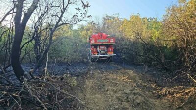 Bursa’nın Mustafakemalpaşa ilçesinde ormanlık alanda çıkan yangın, ekiplerin müdahalesiyle kontrol