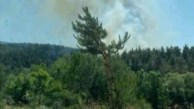Bursa’nın Orhaneli ilçesinde ormanlık alanda yangın çıktı. İtfaiye ve Orman