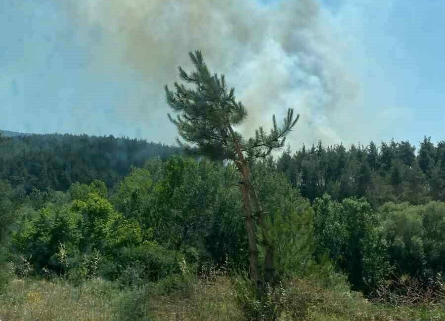 Bursa’nın Orhaneli ilçesinde ormanlık alanda yangın çıktı. İtfaiye ve Orman