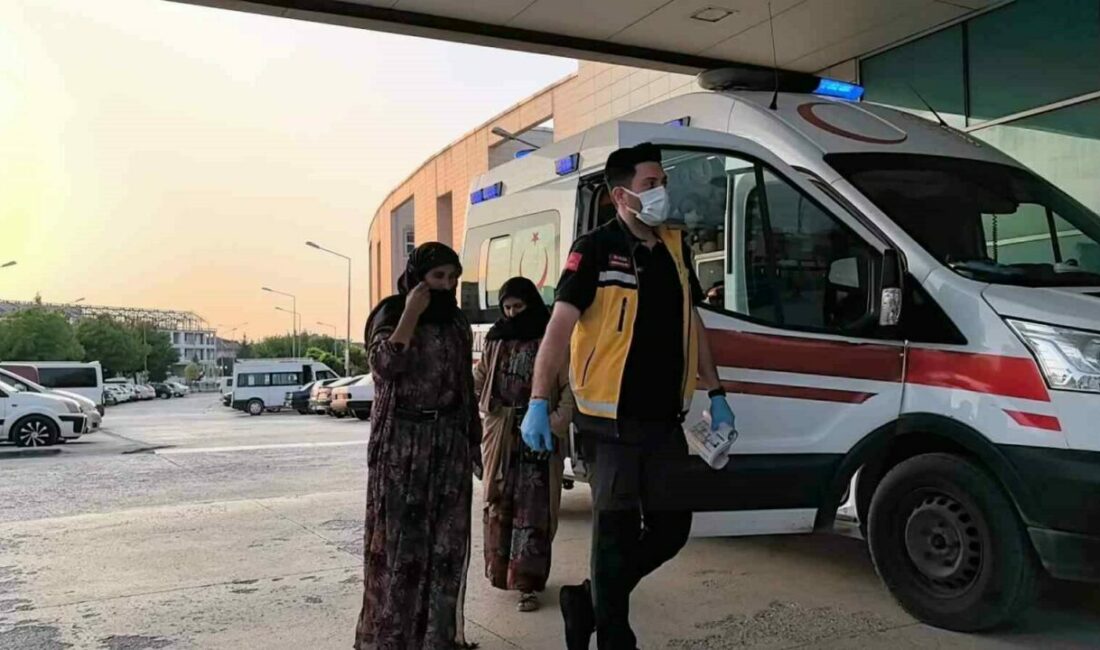 Bursa’nın Yenişehir ilçesinde bulunan çadır kentte pilav yiyen 40 kişi