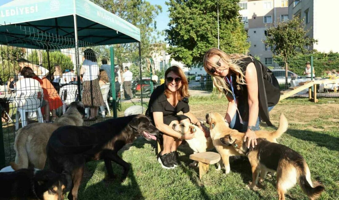 Bursa’da Sahiplendirme Şenliği Nilüfer Belediyesi, sokak hayvanlarına sıcak bir yuva bulmak amacıyla “Bir