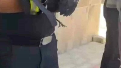 Bursa’nın Yıldırım ilçesinde yaşanan olay yürekleri ısıttı. Millet Mahallesi’nde yaklaşık