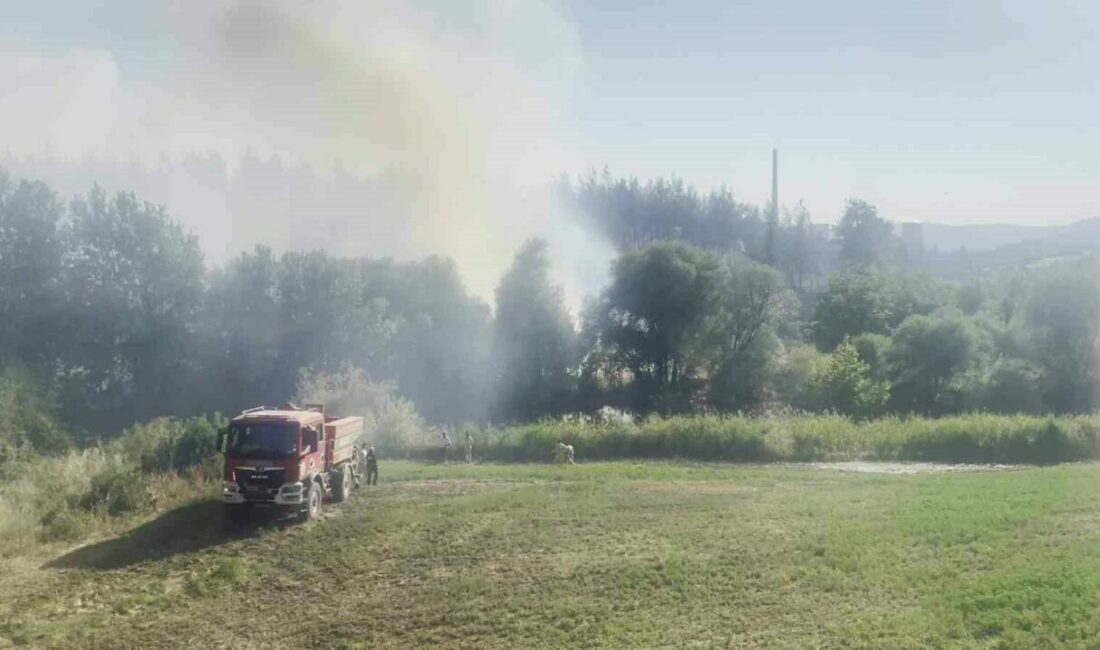 Bursa’nın Orhaneli ilçesinde ormanlık alanda başlayan ve hızla büyüyen yangın,