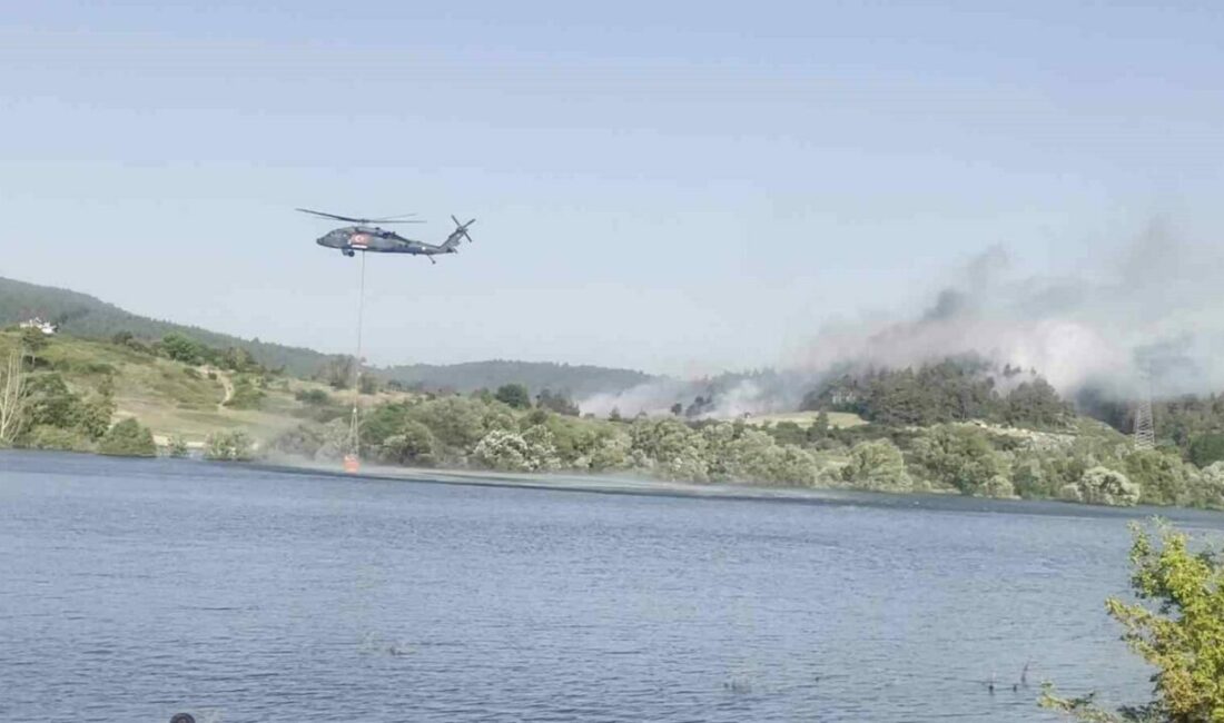 Bursa’daki orman yangınına havadan ve karadan müdahale devam ediyor Bursa’nın Orhaneli ilçesinde ormanlık alanda devam eden yangına, havadan ve