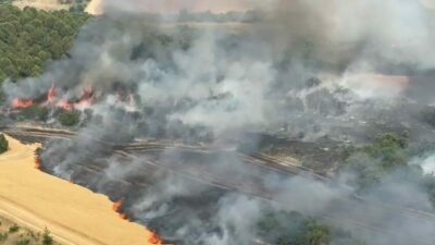 Bursa’nın Yenişehir ilçesinde buğday tarlasında çıkan orman yangını kontrol altına