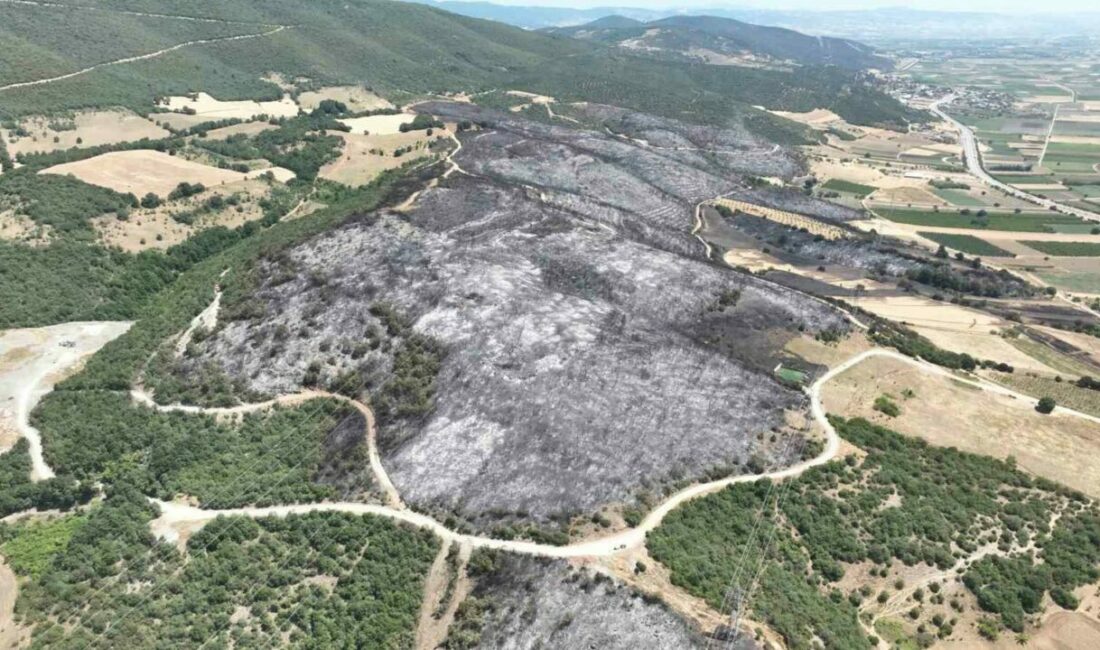 Bursa’daki yangınlarda 65 hektar küle döndü Bursa’da geçtiğimiz günlerde peş peşe meydana gelen yangınlarda 65 hektarlık