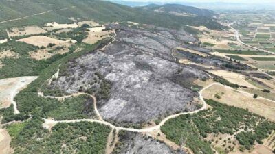 Bursa’da geçtiğimiz günlerde peş peşe meydana gelen yangınlarda 65 hektarlık