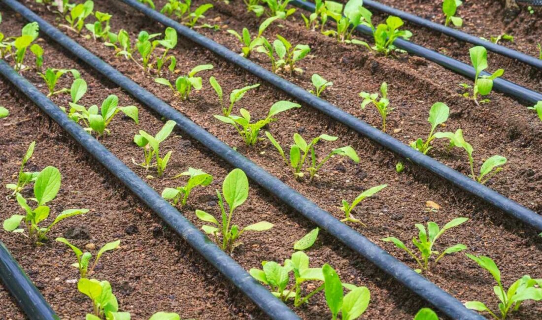 Bursa’da tarım ve hayvancılıkla uğraşan üreticiyi her alanda desteklemeye devam