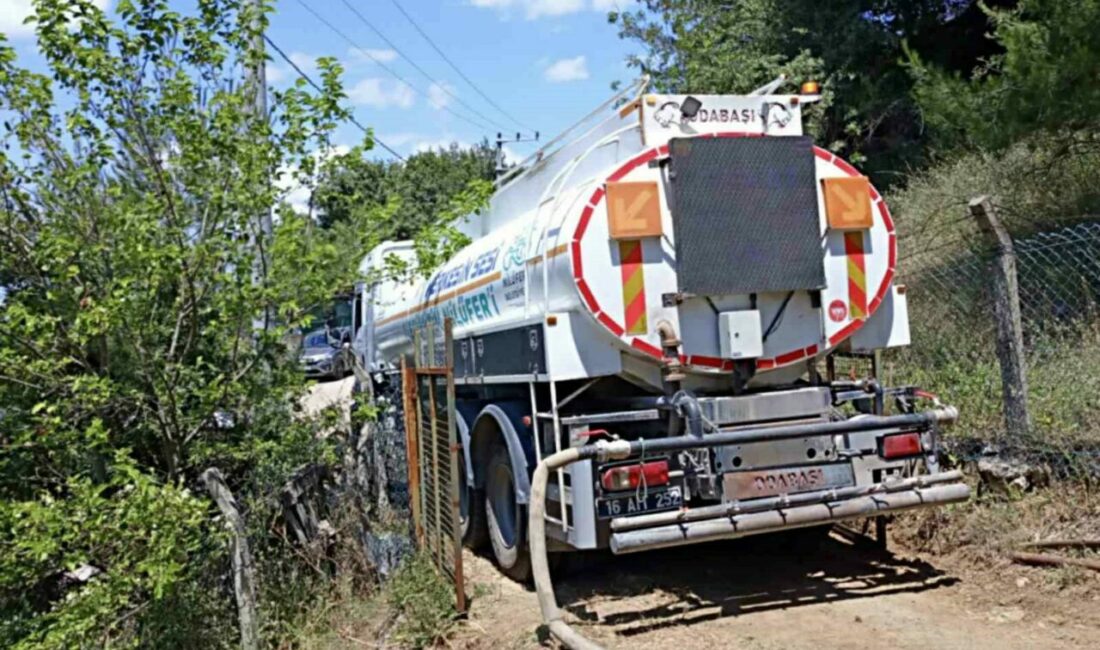 Nilüfer ilçesi Dağyenice Mahallesi’nde anız yakmaktan kaynaklanan yangın sebebiyle 25