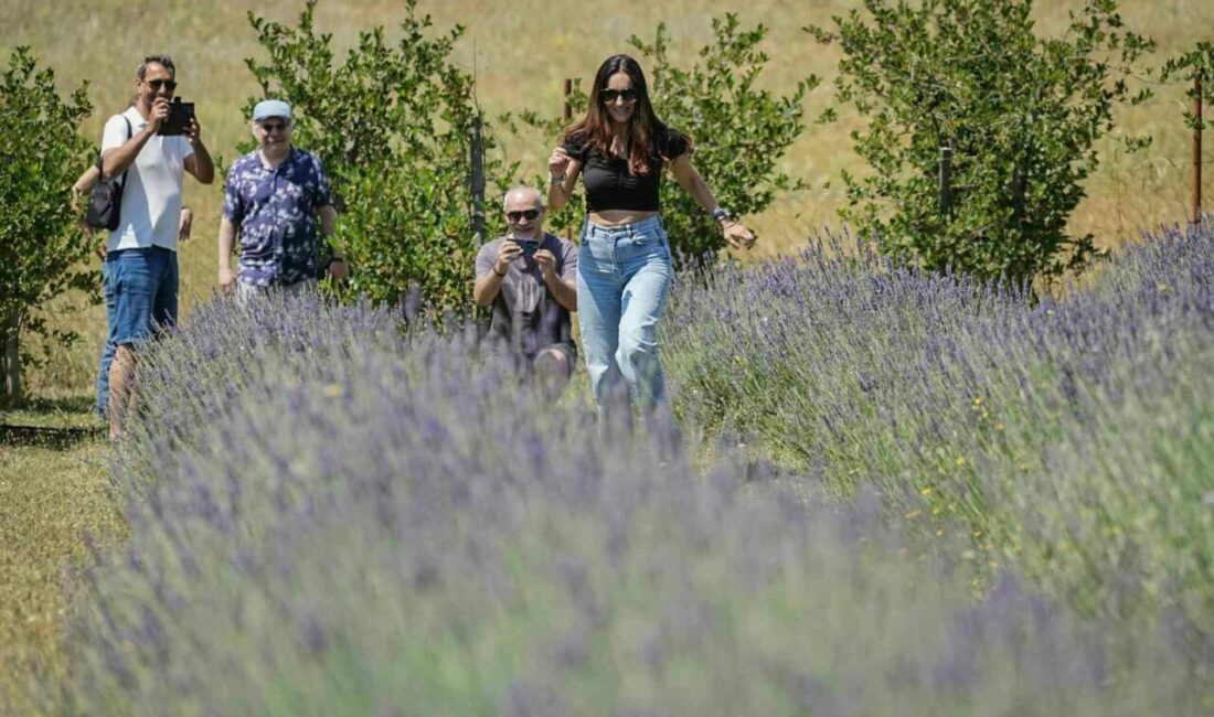 Bursa’da bir doktor tarafından 10 dönümlük arazi üzerine kurulan tıbbi
