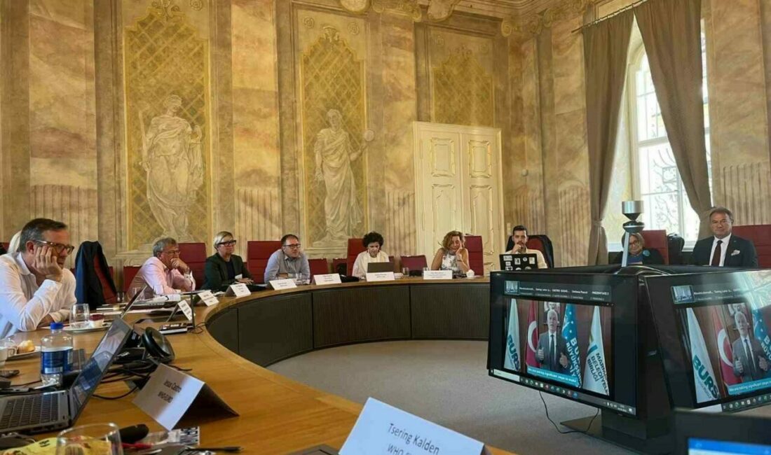 Dünya Sağlık Örgütü (DSÖ) Avrupa Sağlıklı Şehirler Ağı 2025 yılı