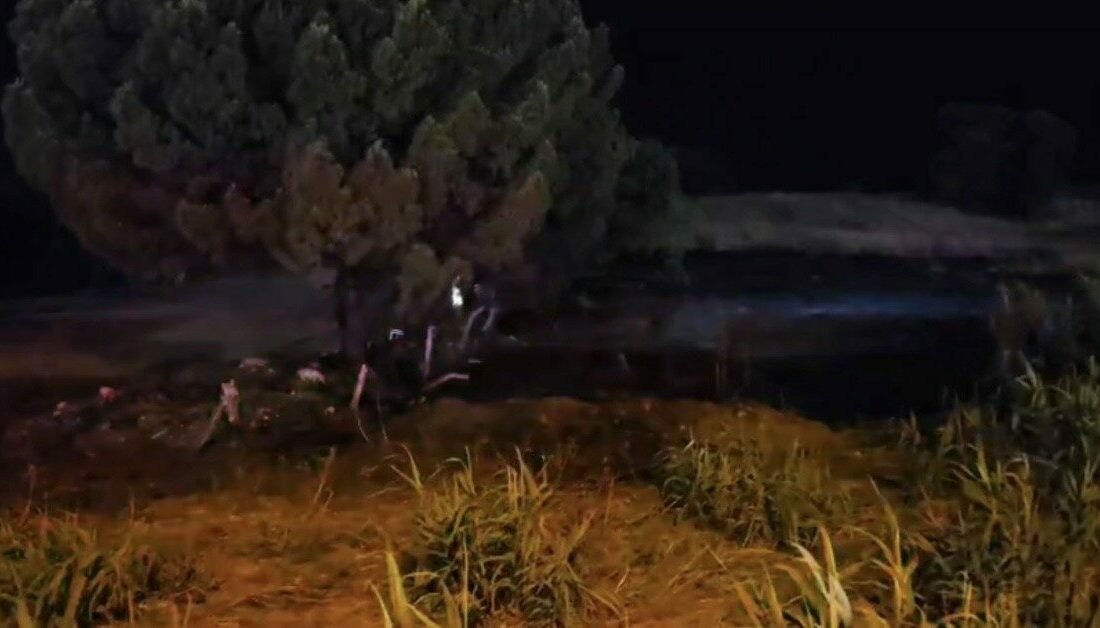 Bursa’da düğünde atılan havai fişek, düğün salonunun yanında bulunan otluk