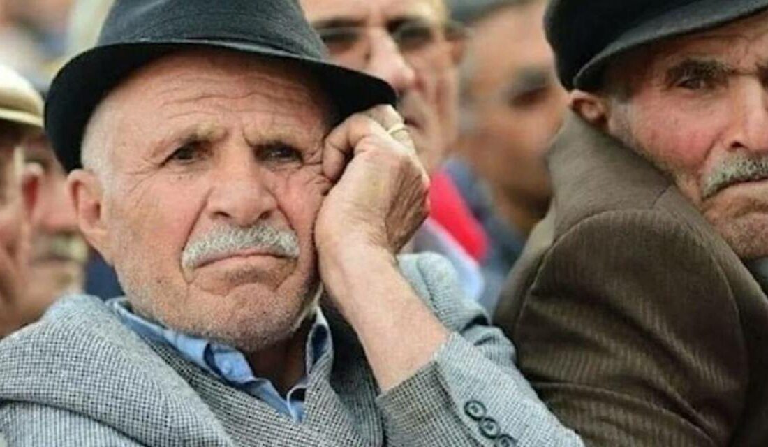 Emekli ve Emekçi Dernekleri Federasyonu (EMED-FED) Başkanı Gönül Boran Özüpak,