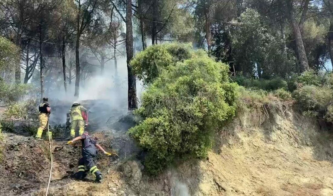 Bursa’nın Gemlik ilçesinde ki bir bölgesindeki çamlık alanda yangın çıktı.