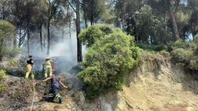Bursa’nın Gemlik ilçesinde ki bir bölgesindeki çamlık alanda yangın çıktı.