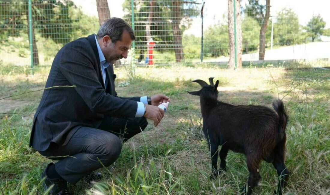 Gürsu Belediyesi’nin yaklaşık 80 dönüm arazi üzerinde ilçe halkının hizmetine