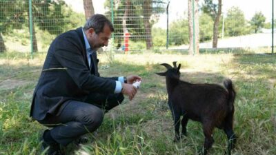 Gürsu Belediyesi’nin yaklaşık 80 dönüm arazi üzerinde ilçe halkının hizmetine