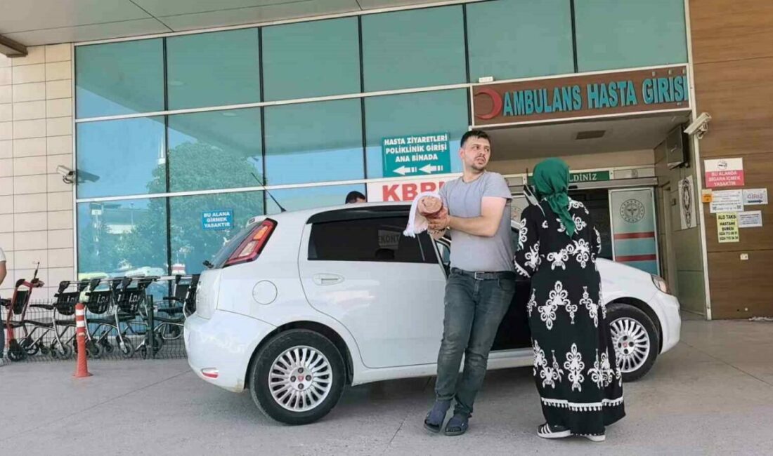 Bursa’nın İnegöl ilçesinde kurban kesiminde kendini yaralayan acemi kasaplar acil