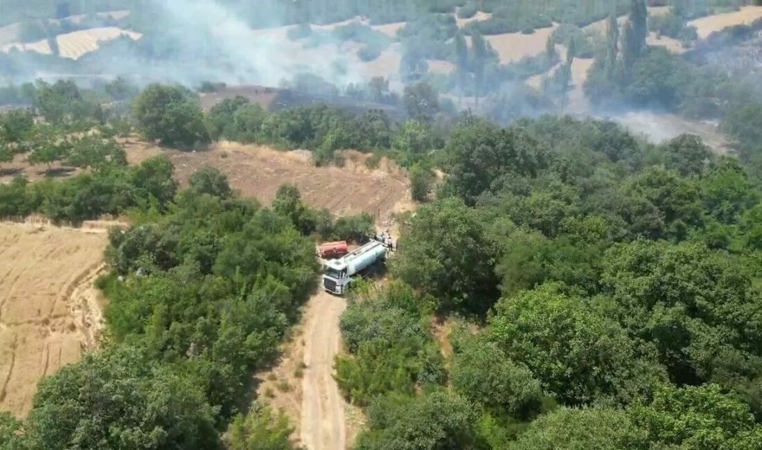 Bursa’nın İnegöl ilçesinde çıkan orman yangını kontrol altına alındı. Yangın