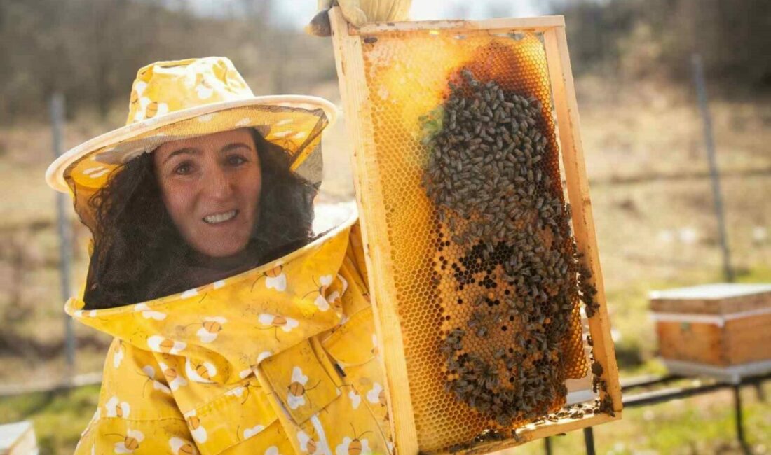 Bursa’nın İznik ilçesine bağlı Derbent Köyü’nden çıkan başarı öyküsü, uluslararası