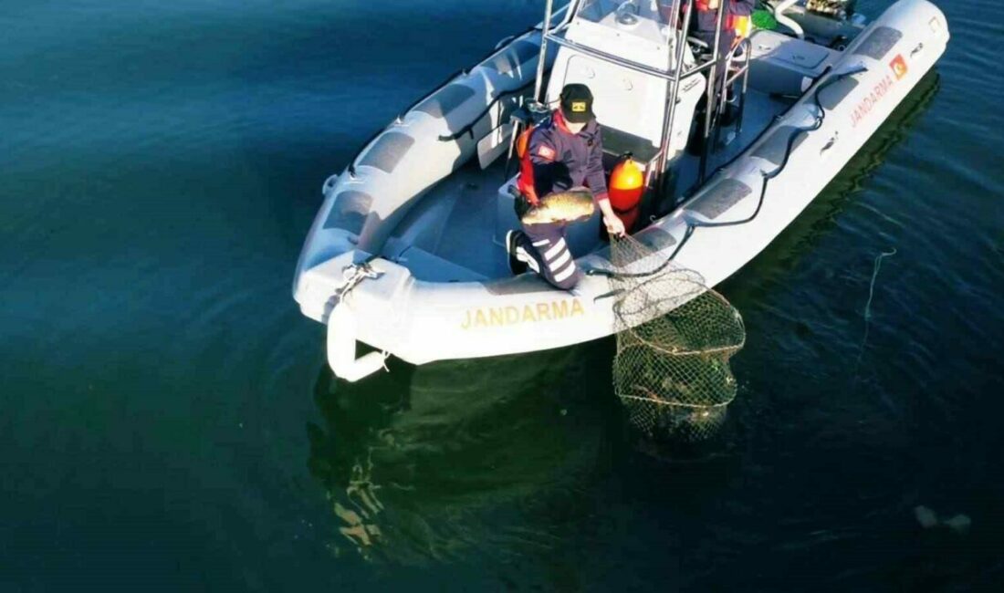 Uluabat Gölü’nde usulsüz su ürünleri ve kara avcılığı yapan 3