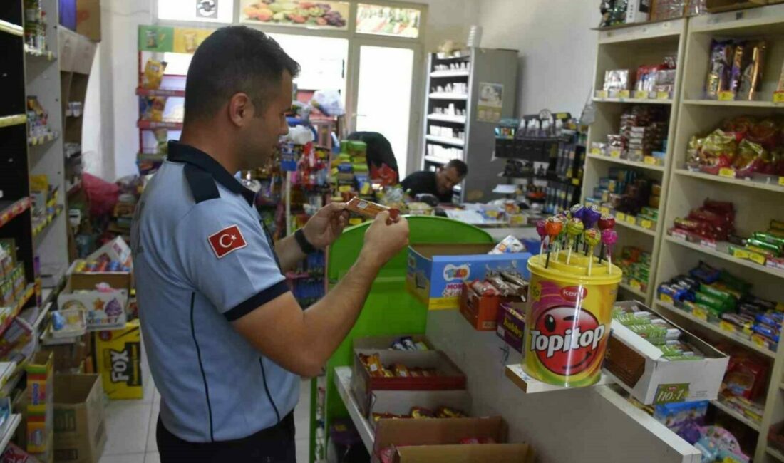 Karacabey Belediyesi Zabıta Müdürlüğü ekipleri, ilçe merkezinin yanı sıra kırsal