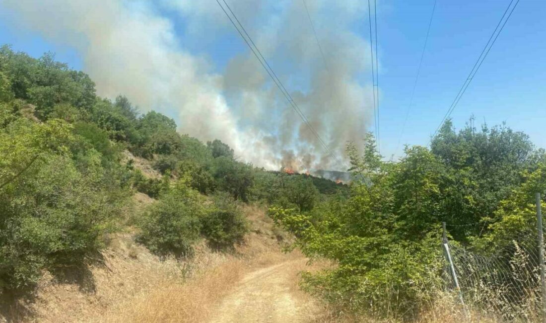 Bursa’nın Kestel ilçesinde 2 gün önce alevler yükselen ormanlık alan