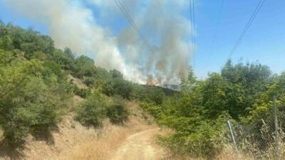 Bursa’nın Kestel ilçesinde 2 gün önce alevler yükselen ormanlık alan