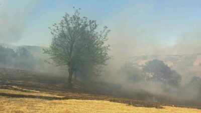 Bursa’nın Kestel ilçesindeki orman yangınına havadan ve karadan müdahale ediliyor.
