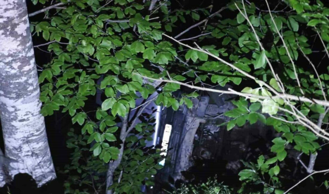 Kontrolden çıkan araç uçuruma yuvarlandı: 3 yaralı Bursa’nın İnegöl ilçesinde meydana gelen kazada kontrolden çıkan otomobil uçuruma