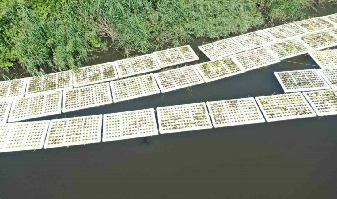 Bursa’da müsilajla mücadele çerçevesinde geliştirilen Yüzer Ada Projesi hayata geçirildi.