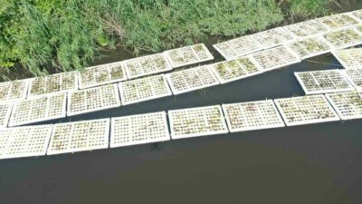 Bursa’da müsilajla mücadele çerçevesinde geliştirilen Yüzer Ada Projesi hayata geçirildi.