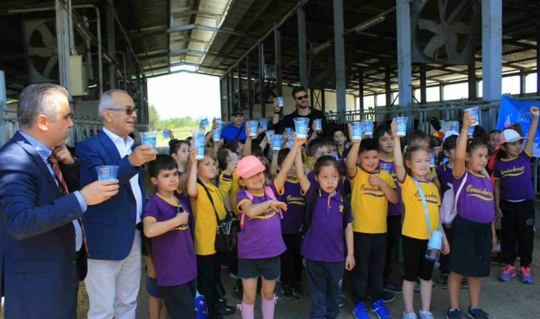 Ulusal Süt Konseyi ve Uludağ Üniversitesi Veteriner Fakültesi, Dünya Süt