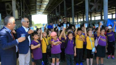 Ulusal Süt Konseyi ve Uludağ Üniversitesi Veteriner Fakültesi, Dünya Süt